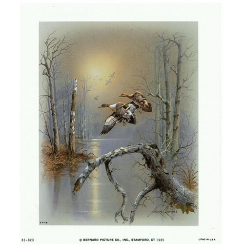 (4 x 5) Art Print BI823 Andres Orpinas Ducks in Flight IV