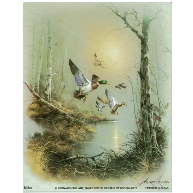 (4 x 5) Art Print BI820 Andres Orpinas Ducks in Flight I