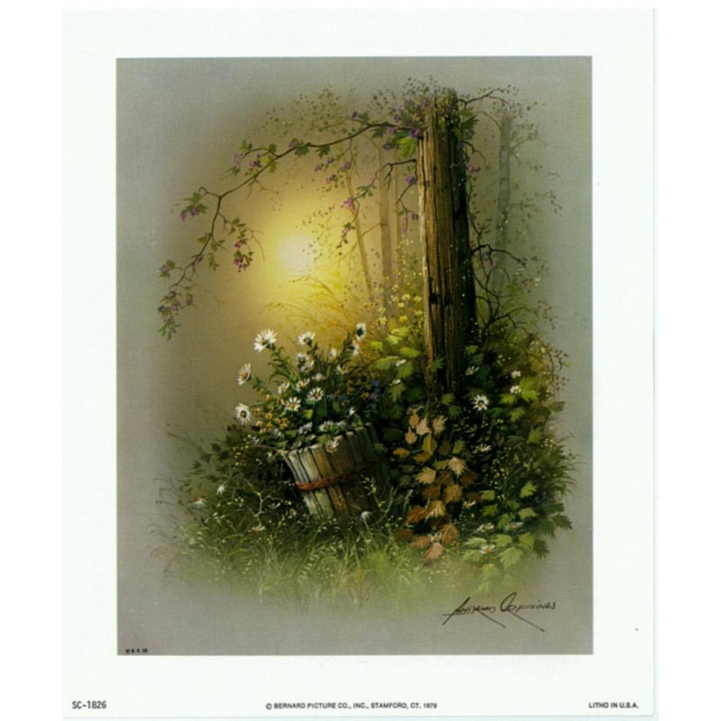 (5 x 6) Art Print SC1826 Andres Orpinas