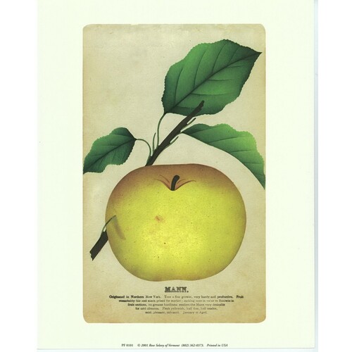 (8 x 10) Art Print PF0101 Rose Selavy Ltd. Mann.