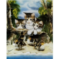 Lot of 5 (8 x 10) Art Print AN1273 SPROVACH - Kittens & Birds