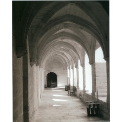 Lot of 5 (8 x 10) Art Print MN0121 Brian Mason - Cathedral Arches