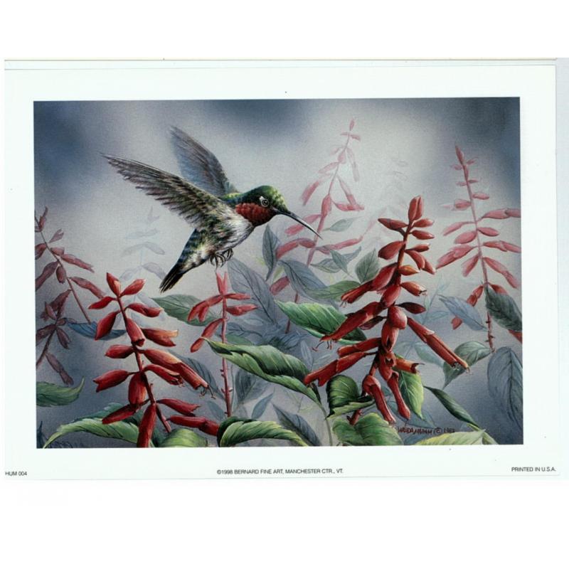 (5.5 x 7.5) Art Print HUM004 Wanda Mumm Humming Bird