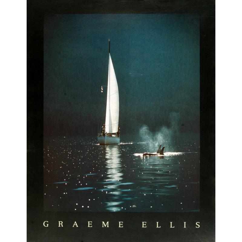 (22 x 28) Art Print PH168 Graeme Ellis Whales at night