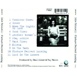 Edie Brickell Picture Perfect Morning CD, Compact Disc