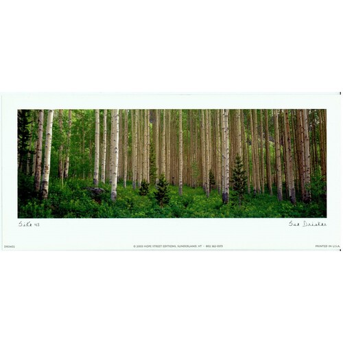 (5 x 11) Art Print DR0402 Sue Drinker Site 43