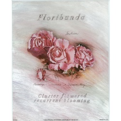 (8 x 10) Art Print DT0103 Applejack Art Partners Cluster flowered recurrent bloo