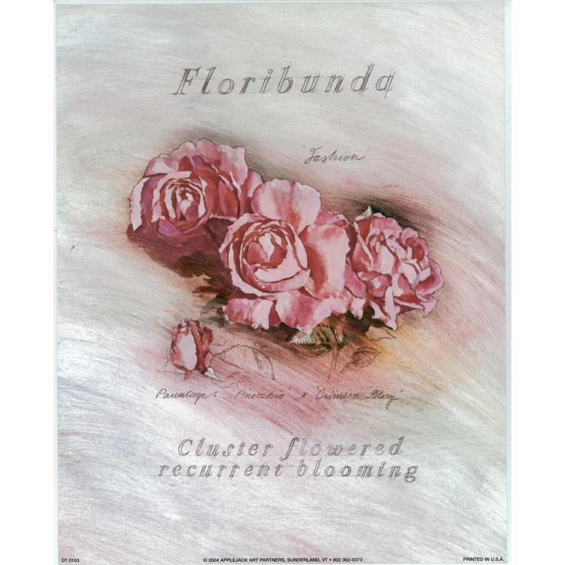 (8 x 10) Art Print DT0103 Applejack Art Partners Cluster flowered recurrent bloo