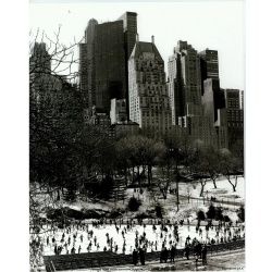 Lot of 5 (8 x 10) Art Print CB0129 Chris Bliss - Central Park
