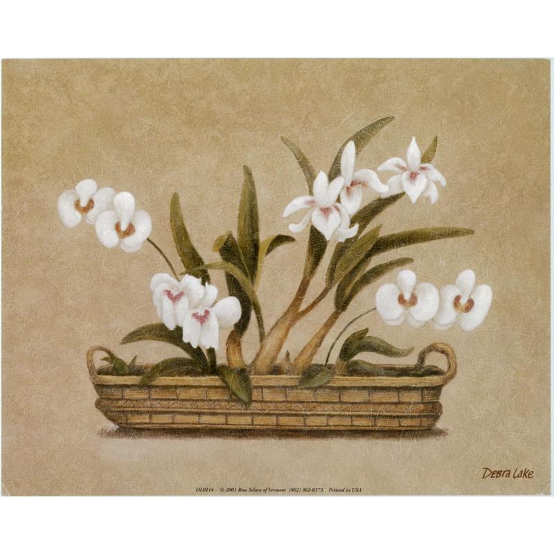 (8 x 10) Art Print DL0114 DEBRA LAKE Lilies