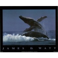 Lot of 5 (8 x 10) Art Print PH0189 James D. Watt - Whales