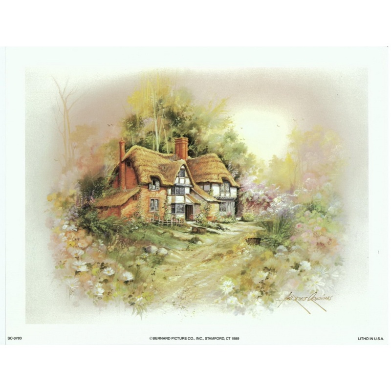(7 x 9) Art Print SC3783 Andres Orpinas Big Cottage in the country