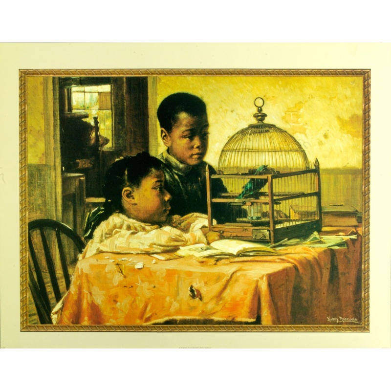 (22 x 28) Art Print HR0603 Harry Roseland Birdcage