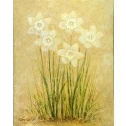 (16 x 20) Art Print DL0304 DEBRA LAKE - Day Lilies