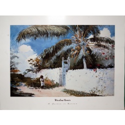 (24 x 30) Art Print WH0601 Winslow Homer - A Garden in Nassau