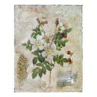 Lot of 2 (12 x 15) Art Print SK0210A Sokol Hohne - Flowers