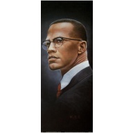 Lot of 2 (8 x 20) Art Print PO1186 Wolfgang M. Otto - Malcolm X