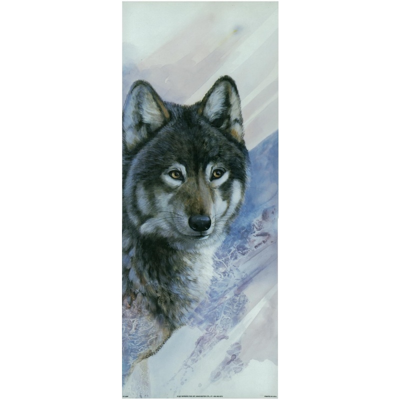 (8 x 20) Art Print PP2369 Cindy Markowski Wolf