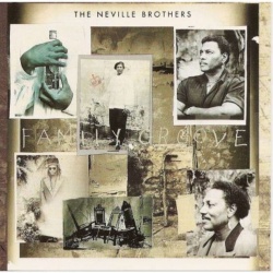 Neville Brothers Family Groove CD, Compact Disc