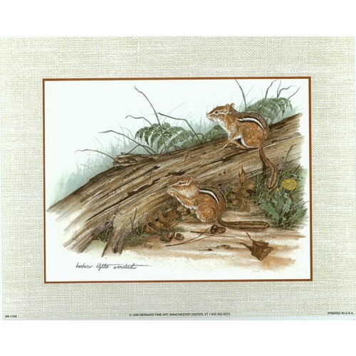 (8 x 10) Art Print AN1169 Barbara Blythe Winstead Chipmunks