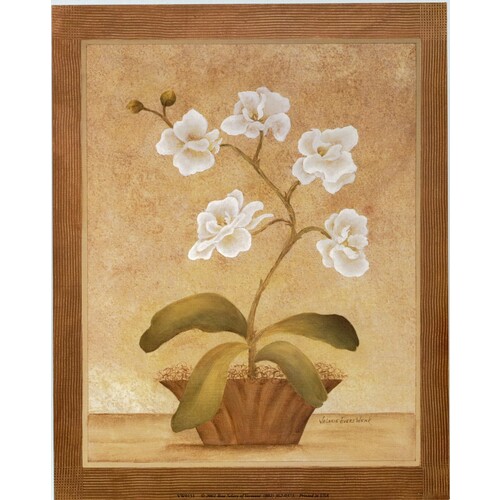 (8 x 10) Art Print VW0151 Valorie Evers Wenk Potted Flowers