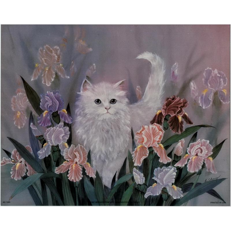 (8 x 10) Art Print AN1265 L. CHANG White Cat