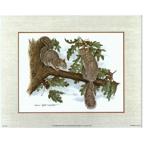 (8 x 10) Art Print AN1168 Barbara Blythe Winstead Squirrels