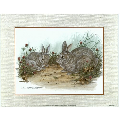 (8 x 10) Art Print AN1166 Barbara Blythe Winstead Rabbits