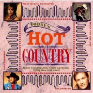 Various Artists Todays Hot Country CD, Compact Disc