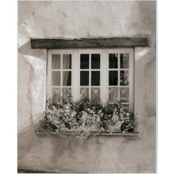 Lot of 5 (8 x 10) Art Print MN0123 Brian Mason - Window scene