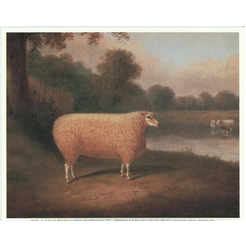 (8.5 x 10.5) Art Print  E. Corbert Pasture with cattle Grazing - Printed in Ital