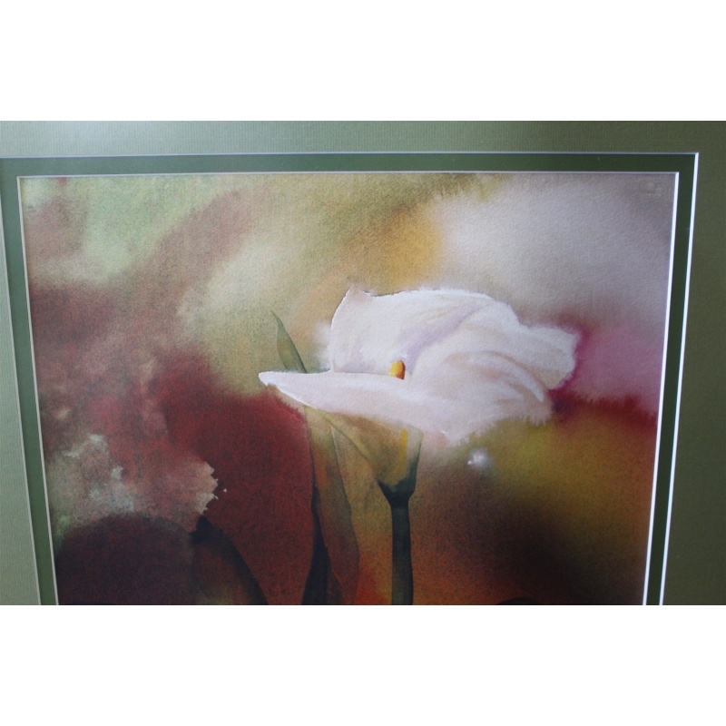 21 x 25.5 - Flawless Framed picture - captivating calla - signed K. Harvill