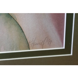 21 x 25.5 - Flawless Framed picture - captivating calla - signed K. Harvill