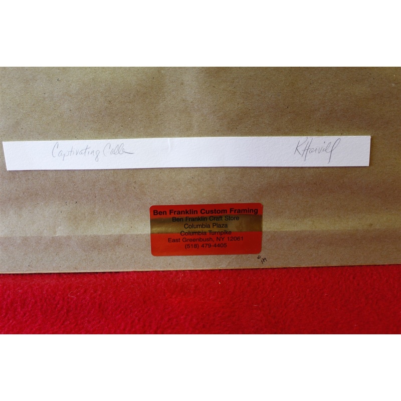 21 x 25.5 - Flawless Framed picture - captivating calla - signed K. Harvill