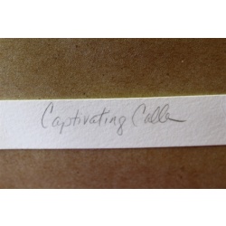 21 x 25.5 - Flawless Framed picture - captivating calla - signed K. Harvill