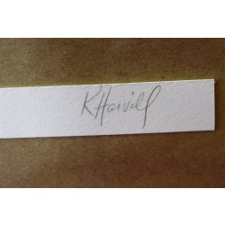 21 x 25.5 - Flawless Framed picture - captivating calla - signed K. Harvill