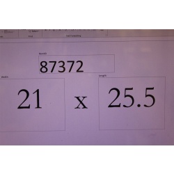 21 x 25.5 - Flawless Framed picture - captivating calla - signed K. Harvill