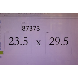 23.5 x 29.5 Framed picture a girl and roses - Auguste Toulmouche