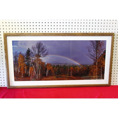 37.5 x 19.5 Framed picture by Roy