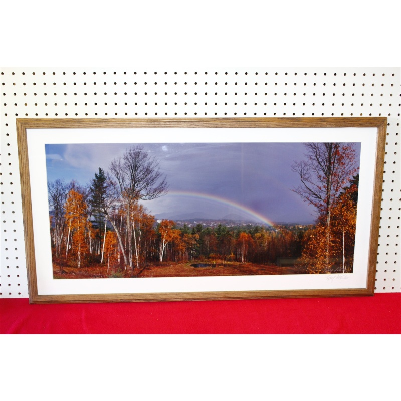 37.5 x 19.5 Framed picture by Roy