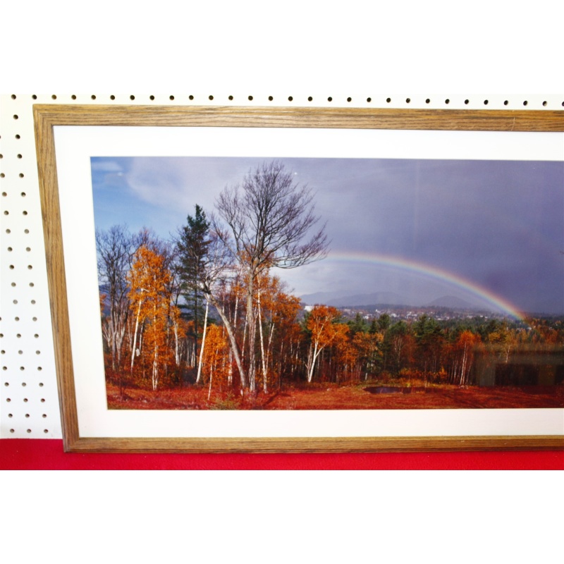 37.5 x 19.5 Framed picture by Roy