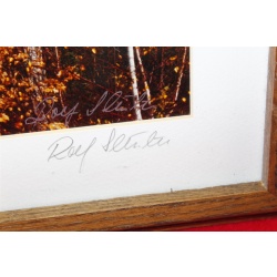 37.5 x 19.5 Framed picture by Roy