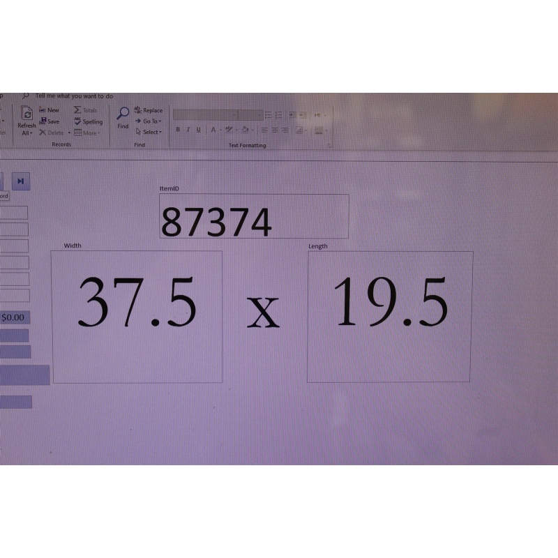 37.5 x 19.5 Framed picture by Roy