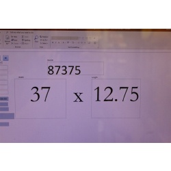 37 x 12.75 Framed landscape New York City Brooklyn Bridge twin towers