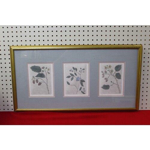 29.5 x 15.5 Framed etchings - the artfield press - Leo P Donahue