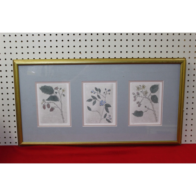 29.5 x 15.5 Framed etchings - the artfield press - Leo P Donahue