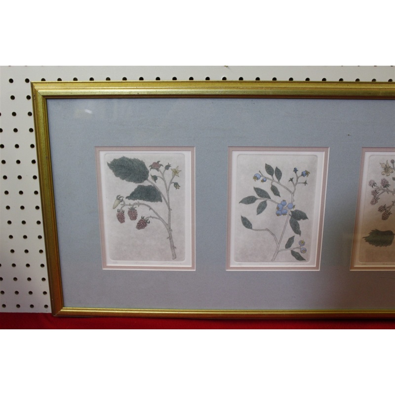 29.5 x 15.5 Framed etchings - the artfield press - Leo P Donahue