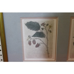 29.5 x 15.5 Framed etchings - the artfield press - Leo P Donahue