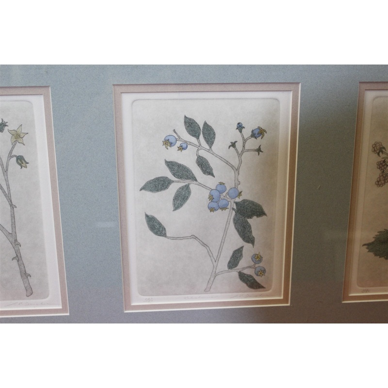 29.5 x 15.5 Framed etchings - the artfield press - Leo P Donahue