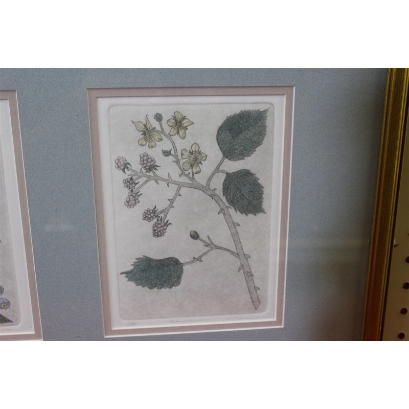 29.5 x 15.5 Framed etchings - the artfield press - Leo P Donahue